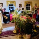 669351637_122230779530550763_4123293078373011516_n